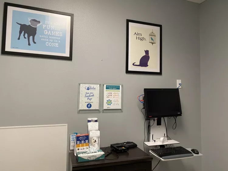 Value Pet Clinic, Washington, Renton